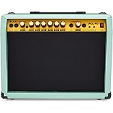 LyxPro 40 Watt Electric Guitar Amplifier | Solid State Studio Amp with 8” 4-Ohm Speaker, Custom EQ Controls, Drive, Delay, ¼” Passive/Active/Microphone Inputs, Aux in & Headphone Jack - Green