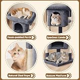 Yaheetech 59cm Basic Cat Tree Tower with Perches Condo and Ball Dark Grey view 3