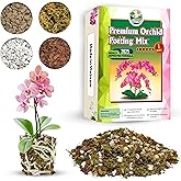 DUSPRO 4in1 Orchid Potting Mix for Repotting, Pre-Mixed &amp; Ready to Use, 1QT | Forest Moss, Pine Bark, Perlite &amp; Pumice, Professional Blend, Drainage &amp; Airflow, Upgraded Formula