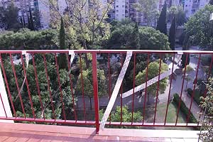Cinta Destellos Para Disuadir las Aves (30 METROS): Amazon.es ...