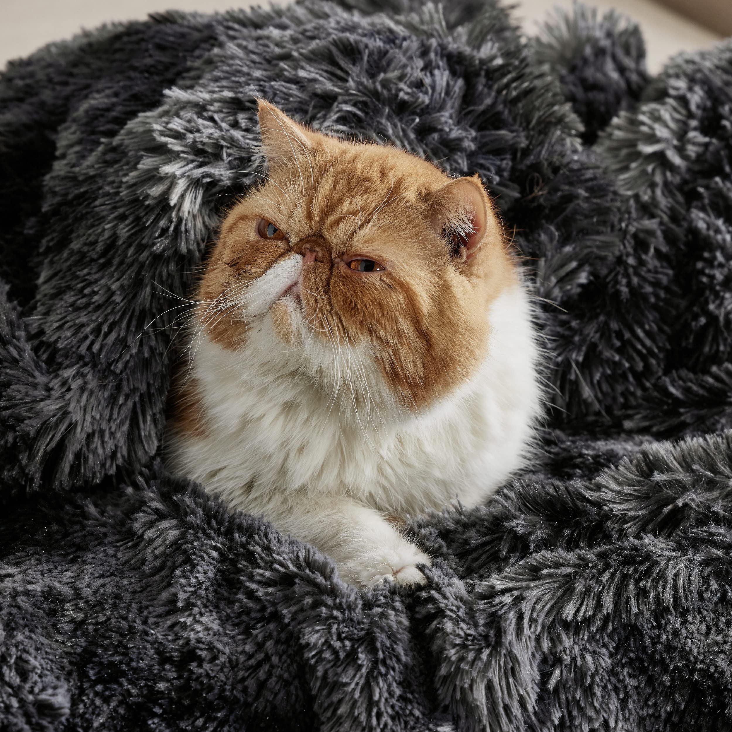 Bedsure Fluffy Black Blanket Throws Gifts for Men, Women, Soft Fleece Cozy Fuzzy Sherpa Plush Warm Minky Thick Faux Fur Throws for Couch, Bed, Black Decor House Blanket Gifts for Him Her, 50x60