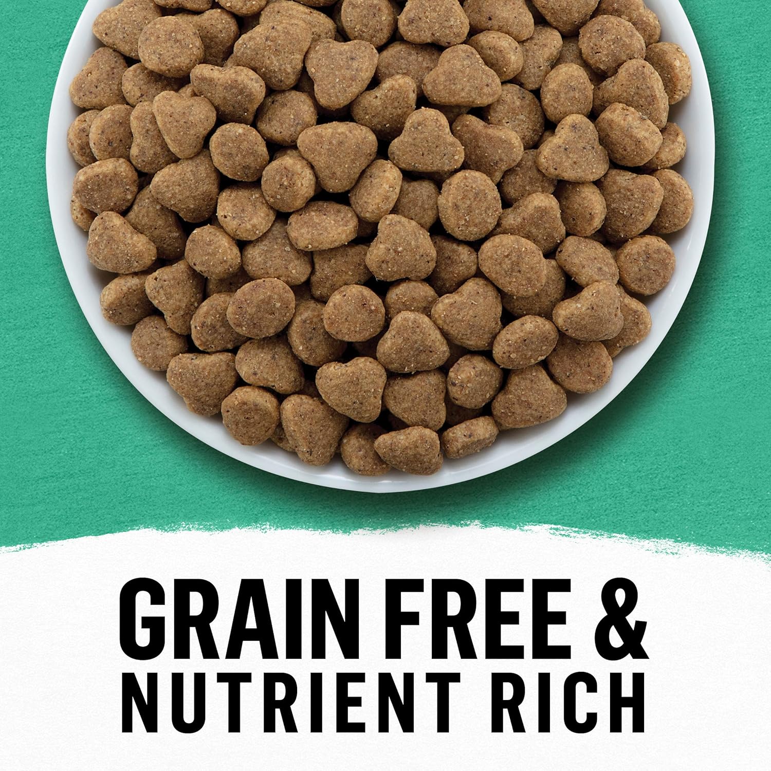 Purina Beyond Grain Free, Natural Dry Cat Food, Simply Grain Free Ocean Whitefish & Egg Recipe - 11 lb. Bag : Pet Supplies