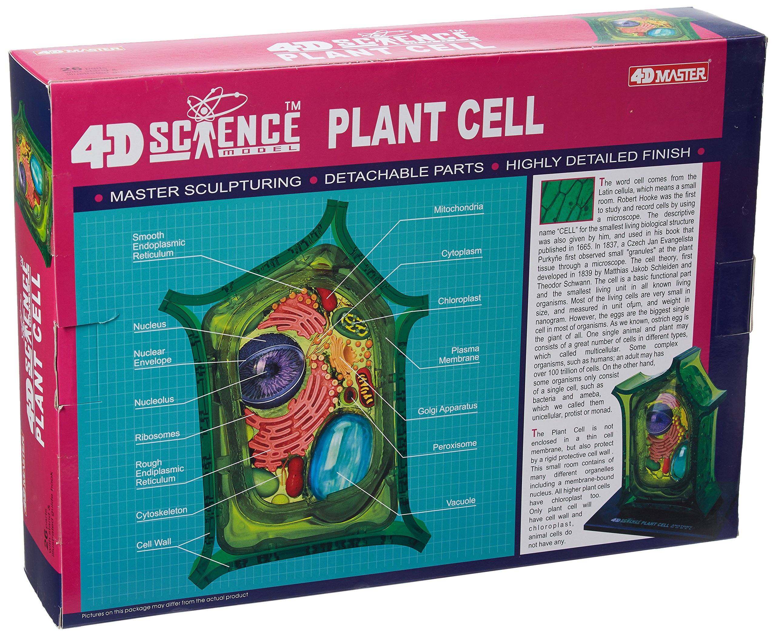 Famemaster 4D-Science Plant Cell Anatomy Model