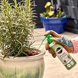 Miracle-Gro Pump & Feed All Purpose Plant Food 200 ml view 4