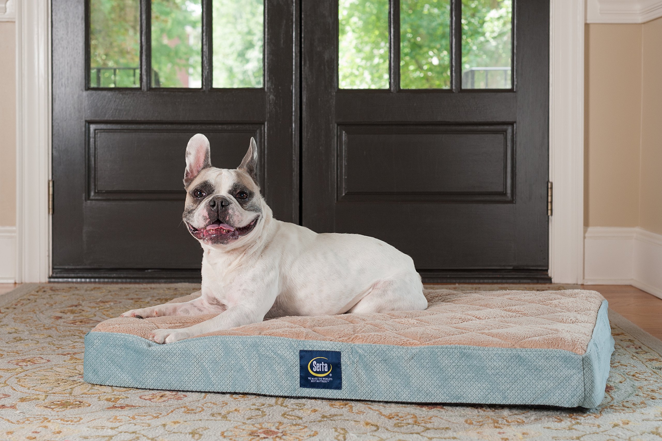 Serta Orthopedic Quilted Pillowtop Dog Bed, Large, Blue eBay