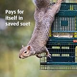 Jacobi Jayne Squirrel Buster Suet Feeder Two Suet Blocks Bird Feeder view 3