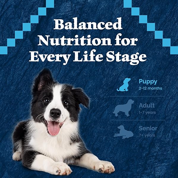 BLUE BUFFALO WILDERNESS ROCKY MOUNTAIN RECIPE HIGH-PROTEIN DRY PUPPY FOOD WITH DHA, MADE IN THE USA WITH NATURAL INGREDIENTS PLUS WHOLESOME GRAINS, RED MEAT, 4.5-LB. BAG