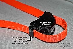 CollarSafe Designer Replacement Collar FIT PetSafe