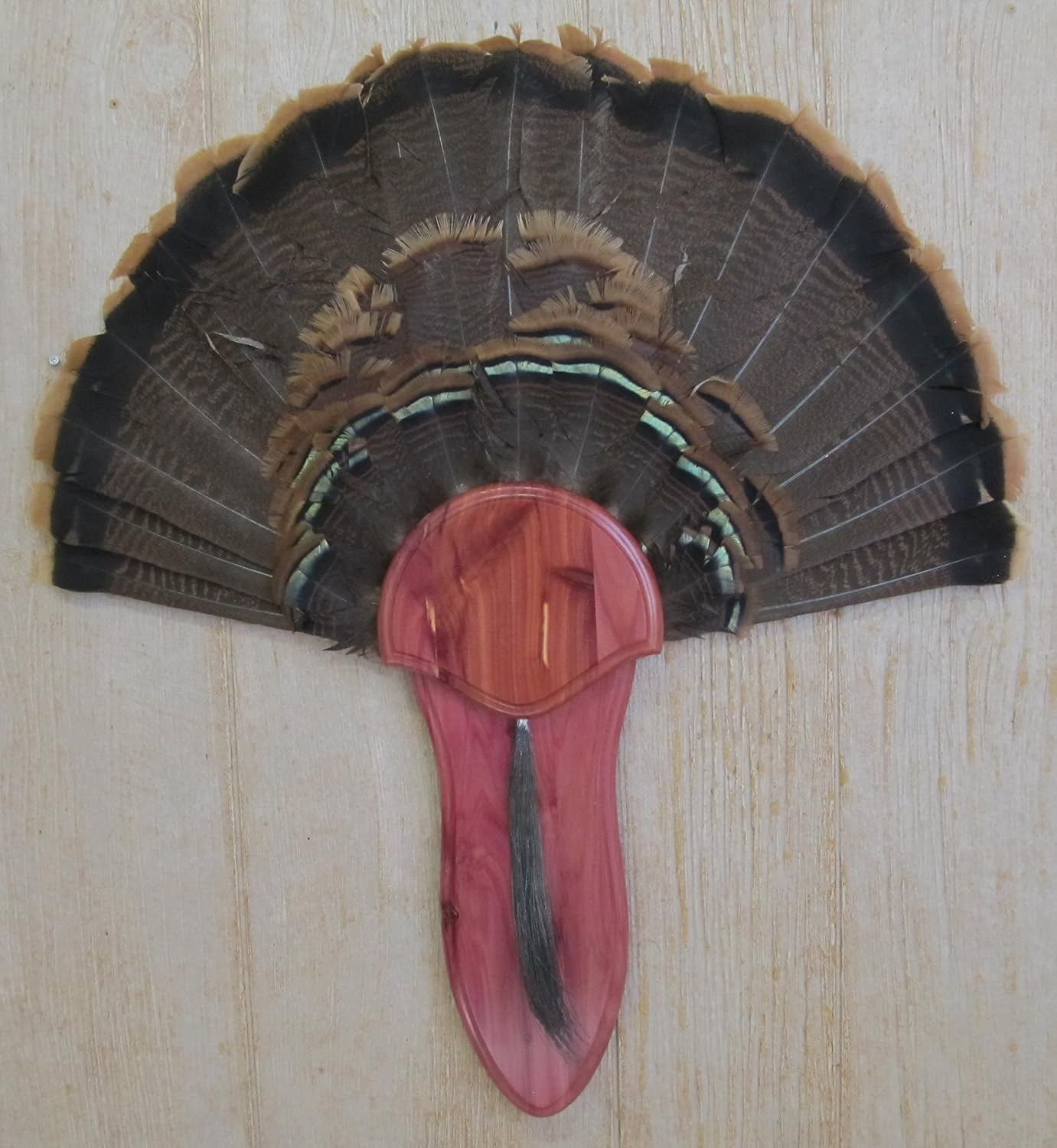 The Taxidermists Cedar Turkey Mounting Kit with Long Beard