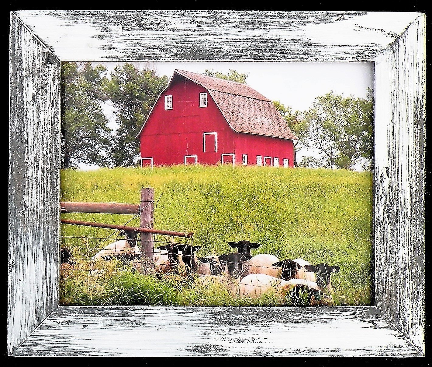 Original Farm Photograph in Handmade White Washed Barn Gray