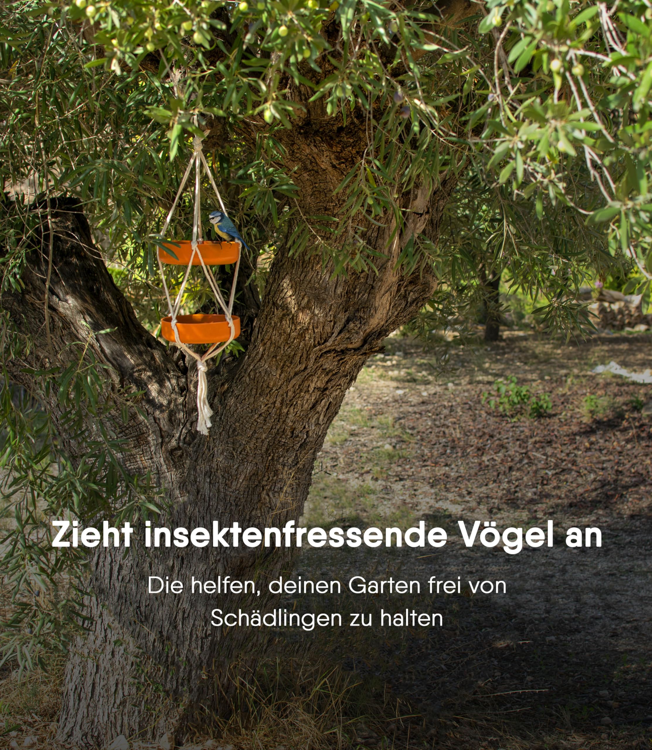 Vogelfutterstation für den Außenbereich mit doppeltem Tablett aus Bambusfaser und Baumwollseil Vogeltränke für Garten Balkon und Terrasse Futterstation für Wildvögel robust 3