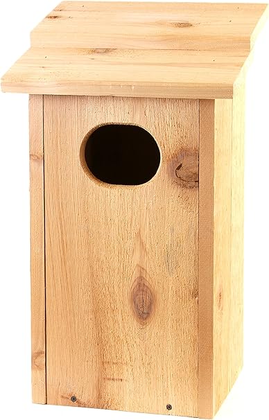 Amazon Com Backyard Boys Woodworking Bbw12 Wood Duck House