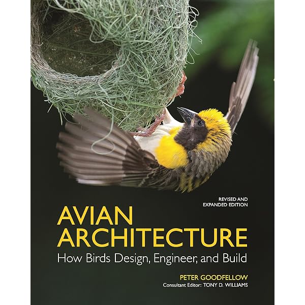 Bird Design Build Construction Inc