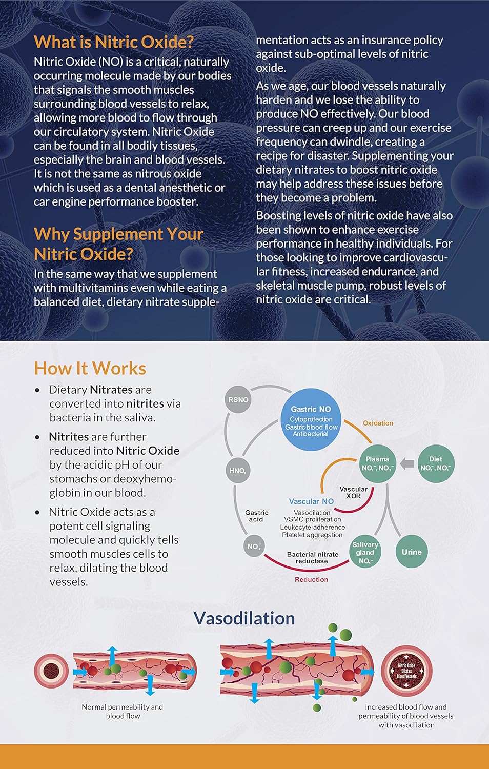 Beet Root Nitric Oxide Supplement Prime Flow Daily Dietary Nitrate
