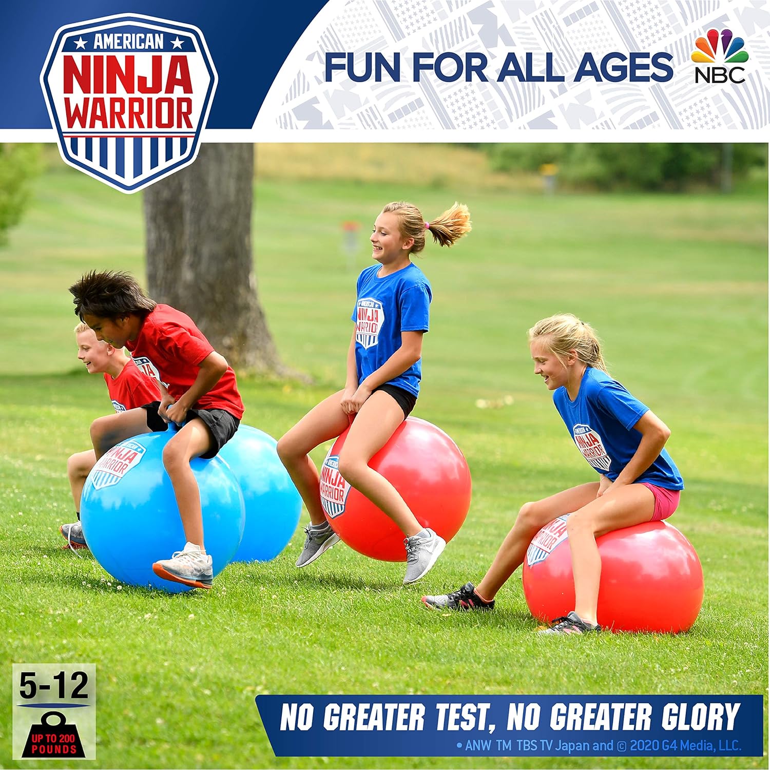 ninja warrior bounce ball