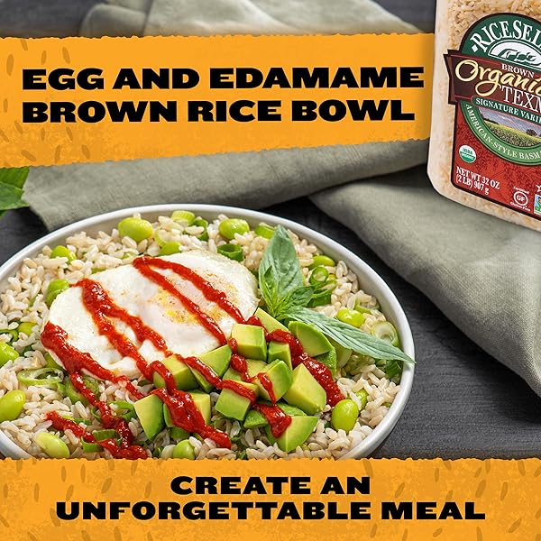RICESELECT ORGANIC TEXMATI BROWN BASMATI RICE, PREMIUM NON-GMO GLUTEN-FREE LONG-GRAIN BROWN RICE, 32-OUNCE JAR