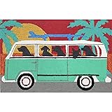 Turquoise indoor outdoor rug