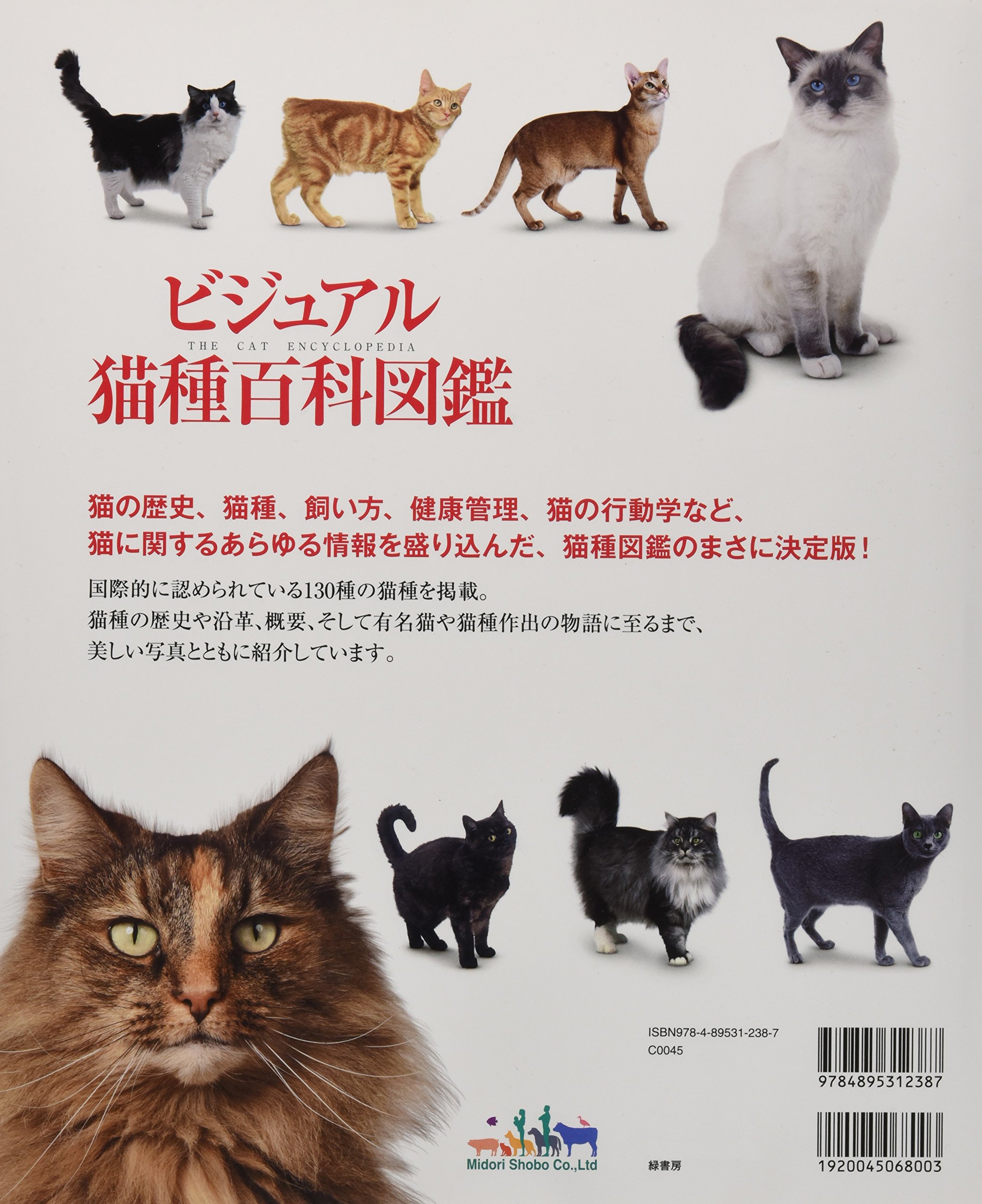 ビジュアル猫種百科図鑑 小島正記 本 通販 Amazon