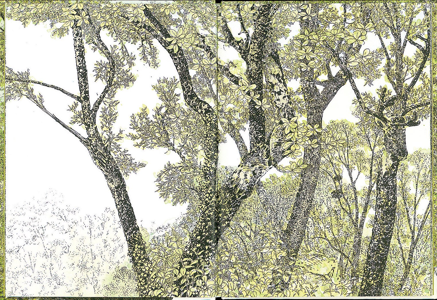 もりのえほん 安野光雅の絵本 安野 光雅 本 通販 Amazon