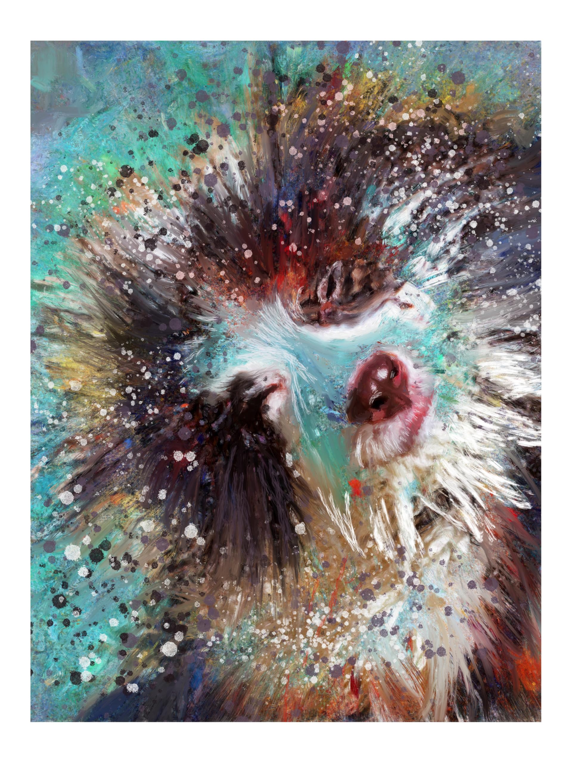 Border Collie Wall Art Print, Dog Picture, Home Decor