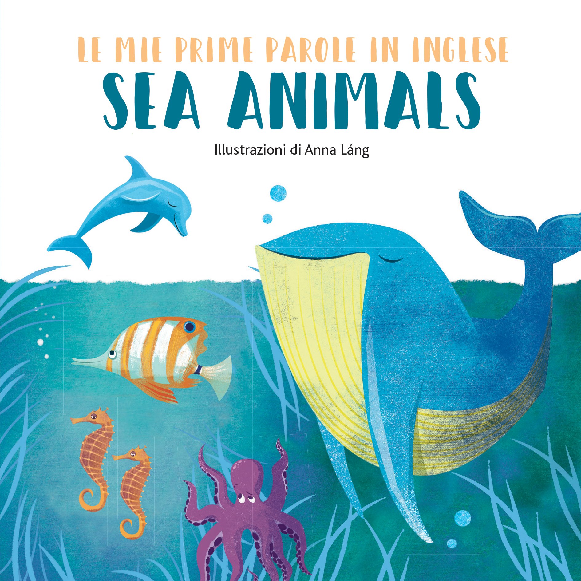 Sea Animals Le Mie Prime Parole In Inglese Lang Anna 9788854037243 Amazon Com Books