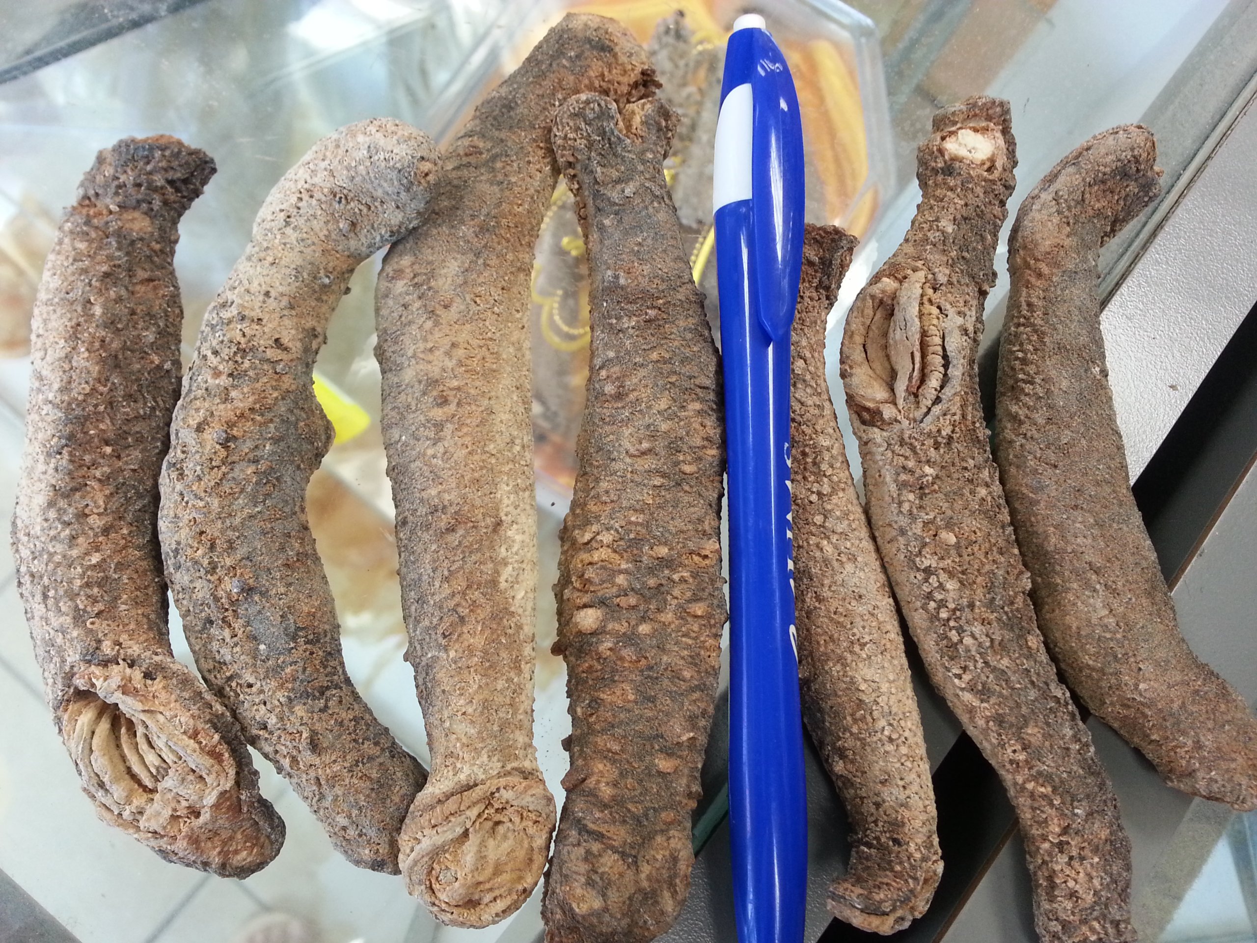 ERLIN 1LB Sun Dried red Sea Cucumber from Alaska medium size Buy