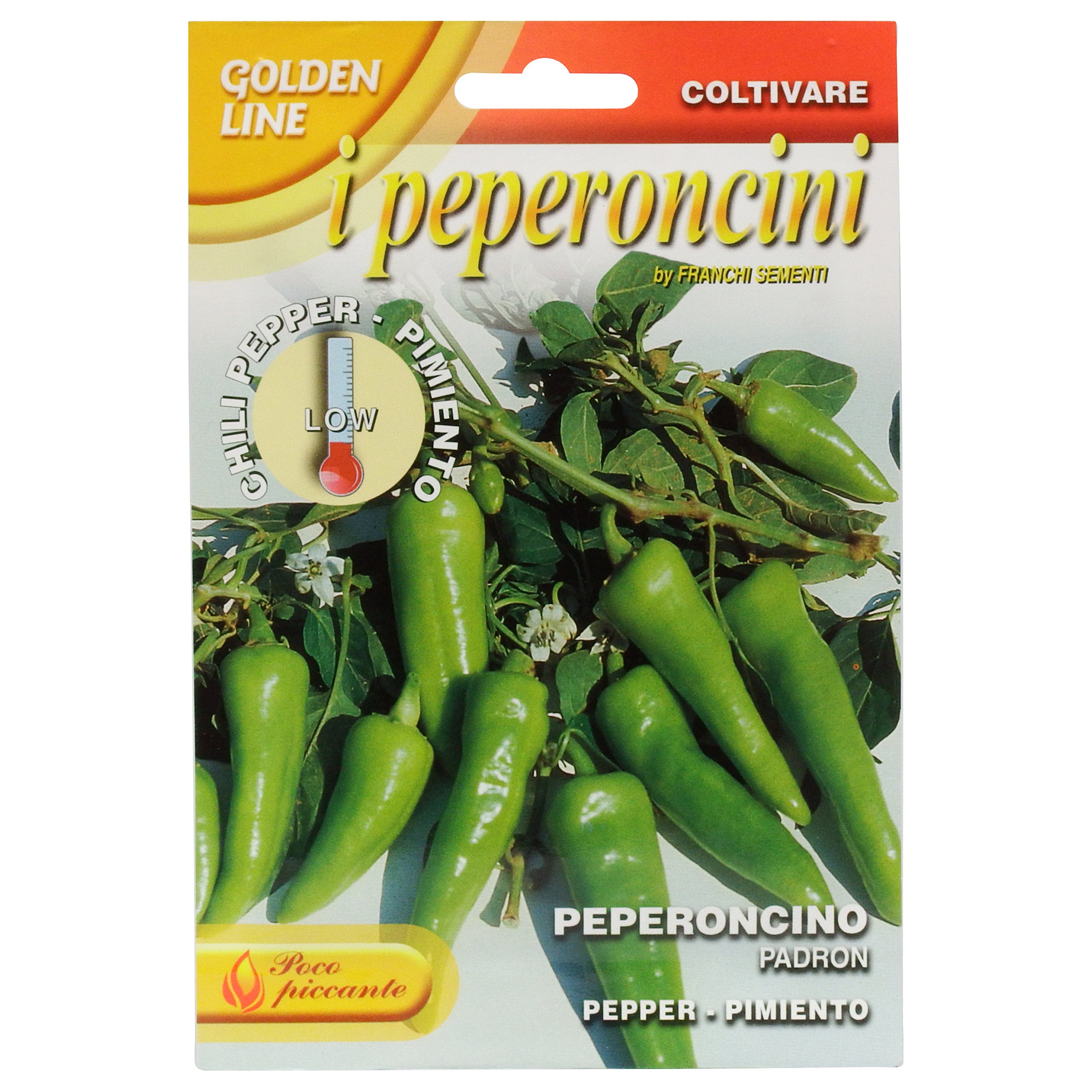 Featured image of post How to Make Padron Peppers Seeds Uk