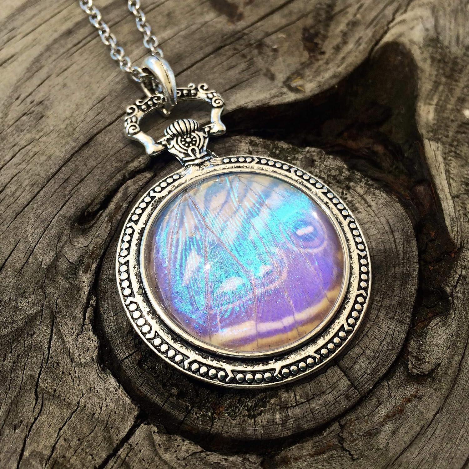 Real butterfly wing necklace Insect taxidermy