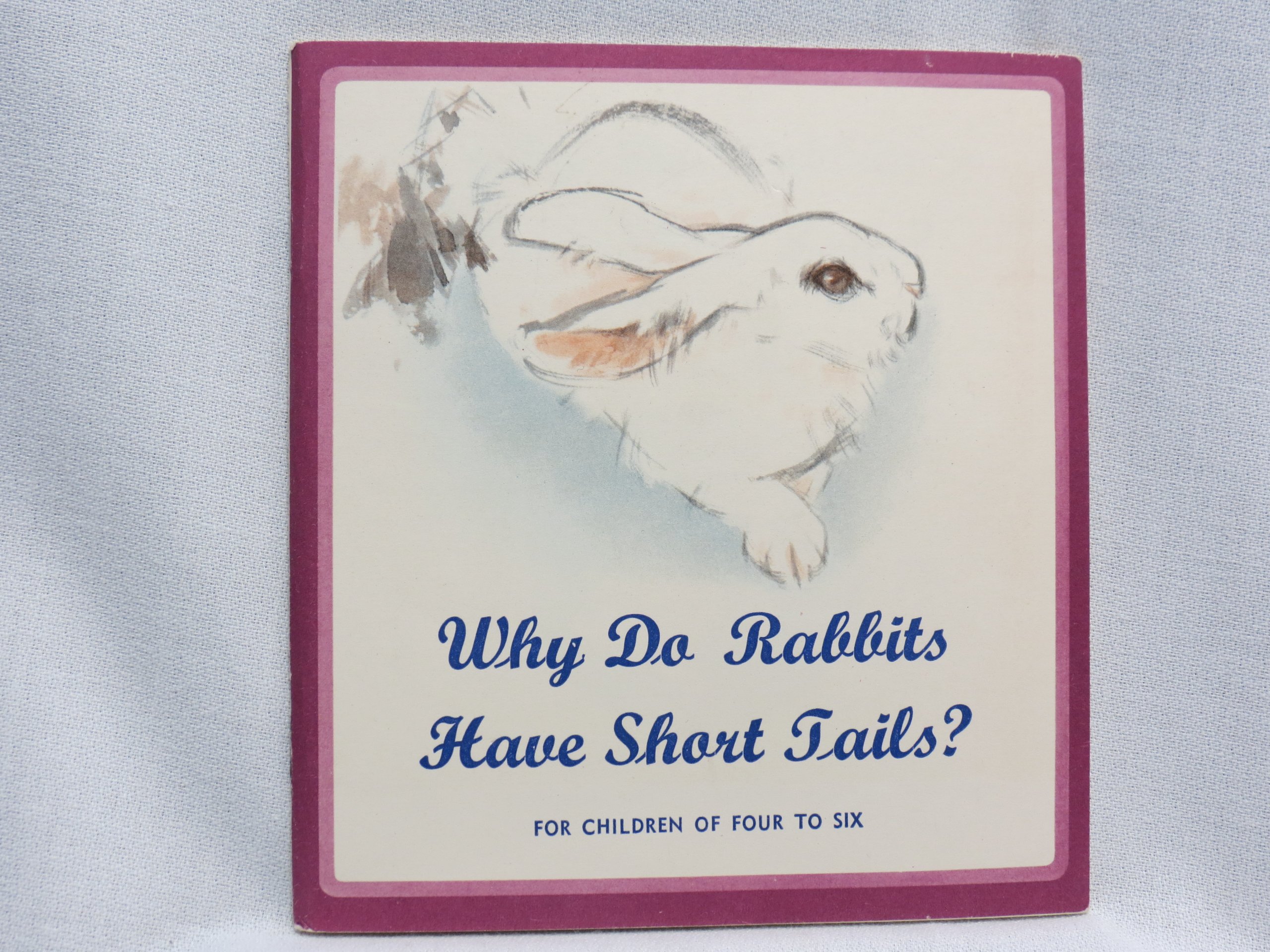 Why Do Rabbits Have Short Tails Xu Guangyu Amazon Com Books