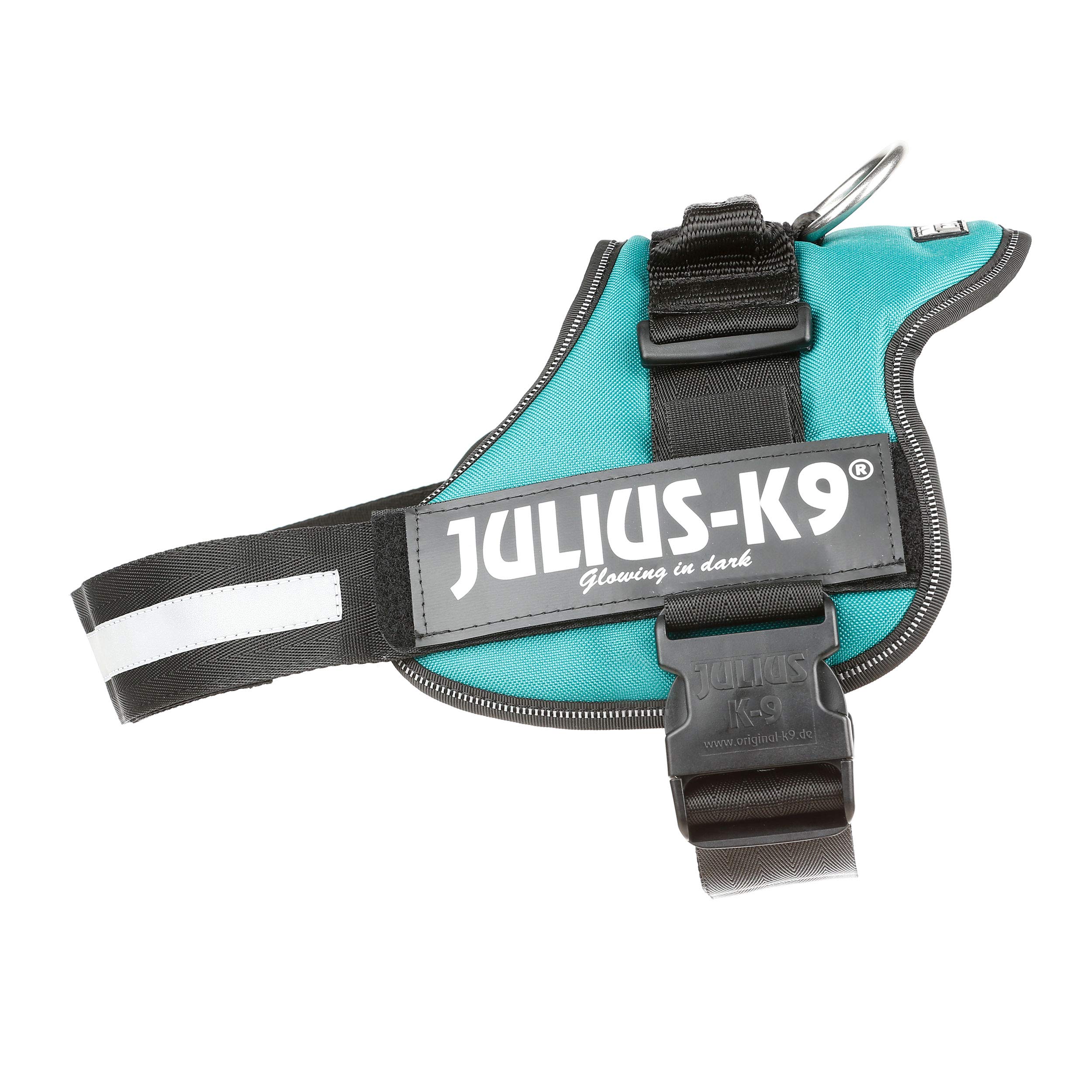 k9 harness size 2