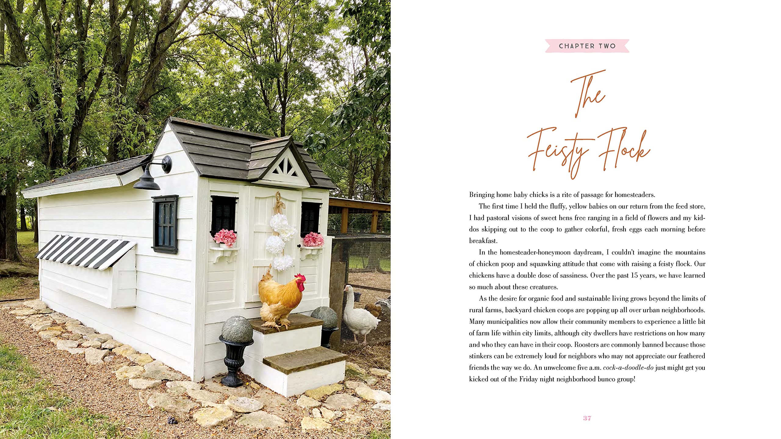 The Grace-Filled Homestead: Lessons I've Learned about Faith, Family, and the Farm