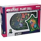 Famemaster 4D-Science Plant Cell Anatomy Model