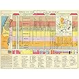 Bible Study Guide - Biblical Timeline Chart - Christian Art Unframed 16x21 - Jesus Gifts - Christian Poster for Classroom Decorations - The Life of Christ Time Line 1892 Chronological Harmonical