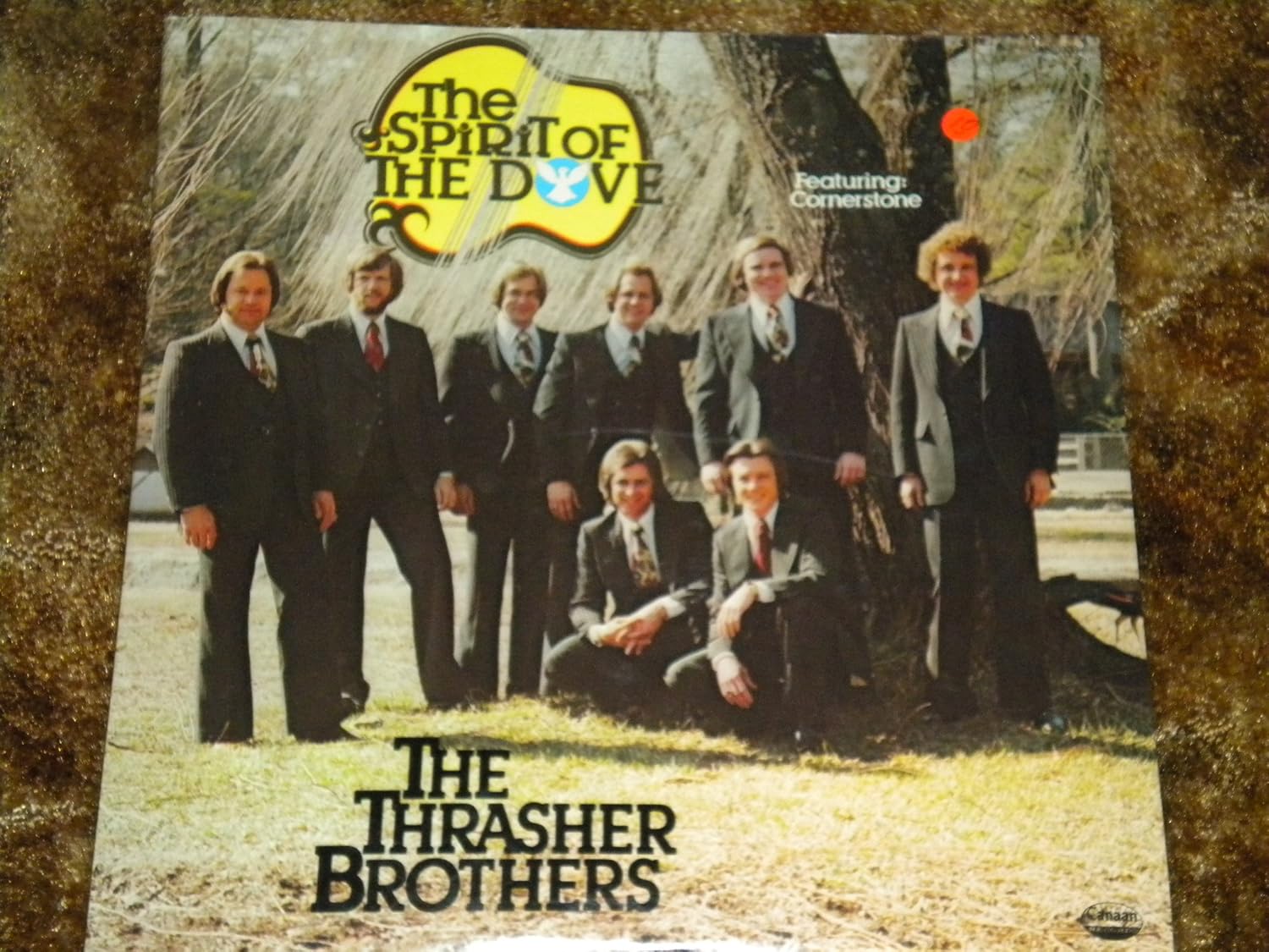 The Thrasher Brothers - The Spirit of the Dove - Amazon.com Music