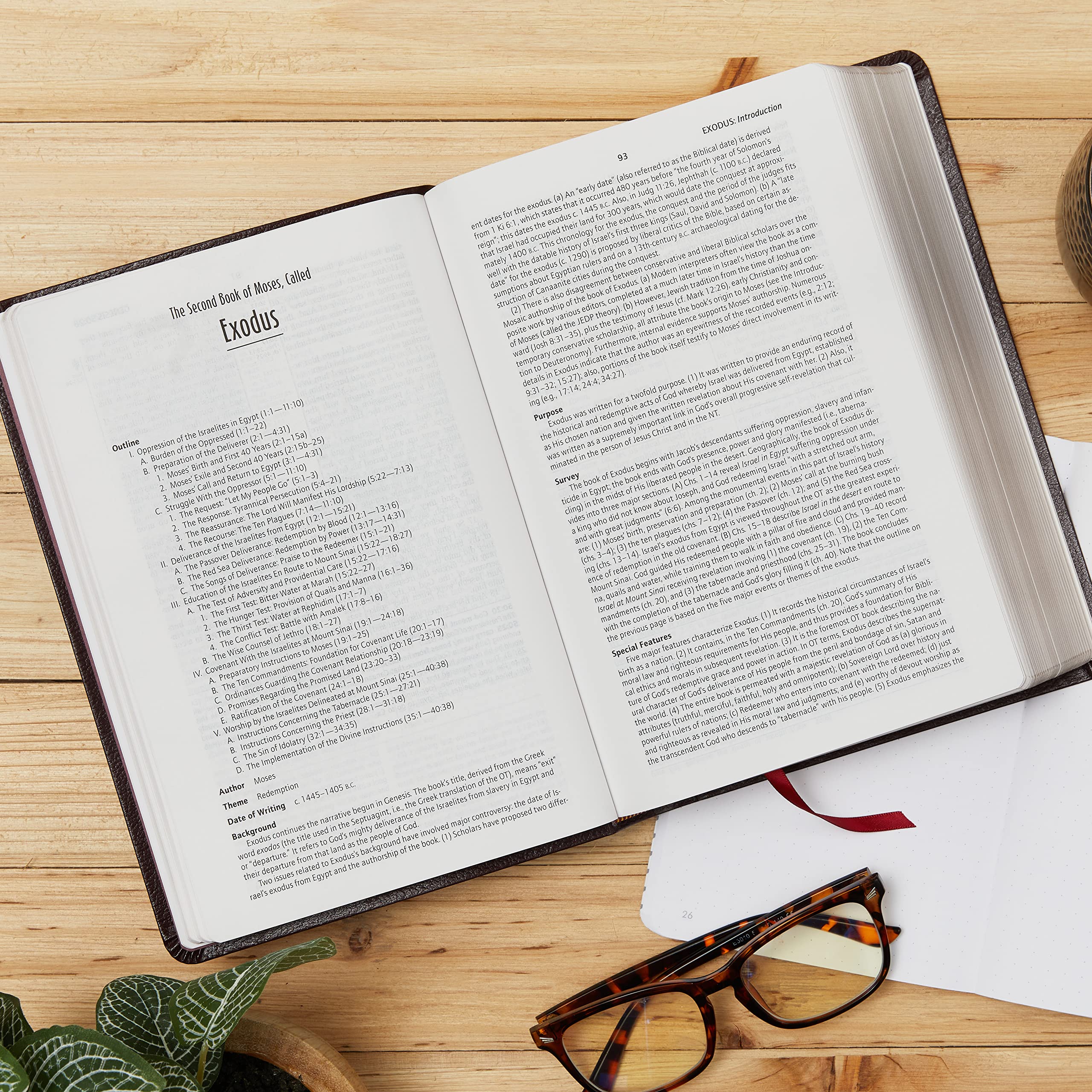 KJV Life in the Spirit Study Bible, Indexed