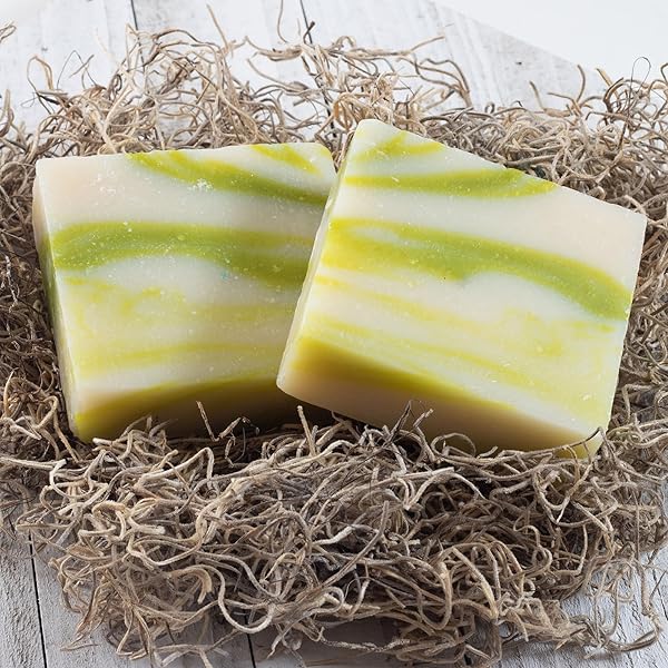 360FEEL COOL FRESH ALOE SOAP – HANDCRAFTED CASTILE BAR SOAP WITH SOOTHING SCENT – HANDMADE WITH ESSENTIAL OILS – IDEAL GIFT FOR ANNIVERSARIES, WEDDINGS, AND HOLIDAY STOCKINGS – RICH LATHER – 5 OUNCE