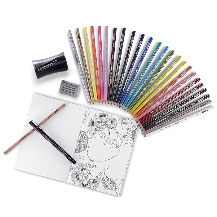 The Best Prismacolor Eraser And Blender Package