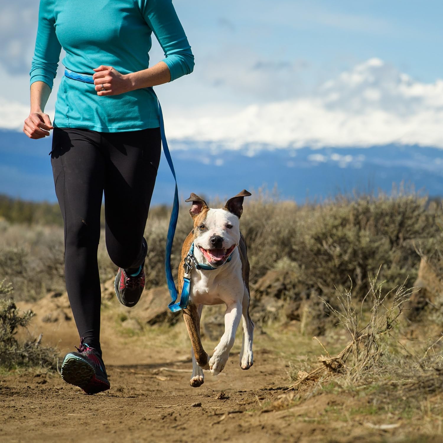 ruffwear flat out leash