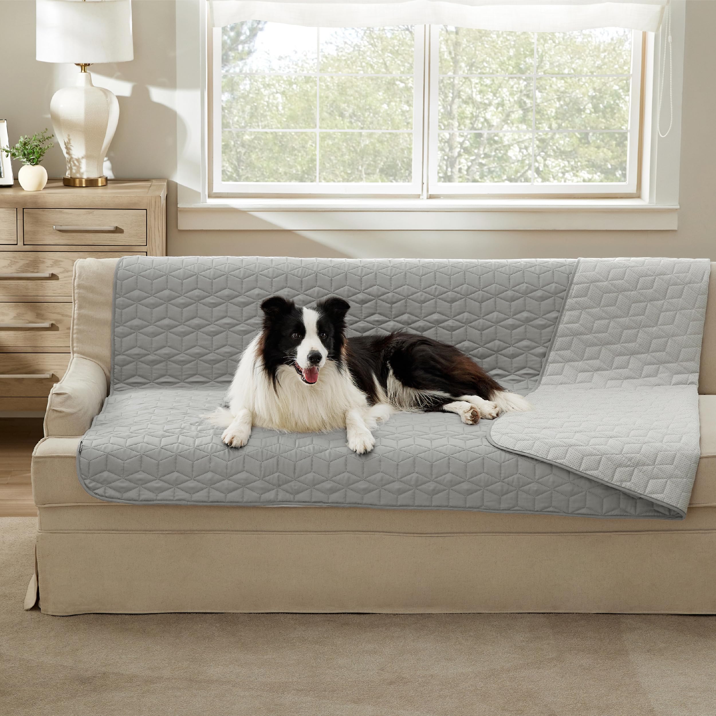 Photo 1 of Bedsure 100% Waterproof Couch Cover for Dogs Washable - Non Slip Waterproof Blanket Large for Bed Sofa, Lightweight Furniture Protector Durable for Pet Cat Puppy with Non-Slip Bottom, Grey, 52x82IN`