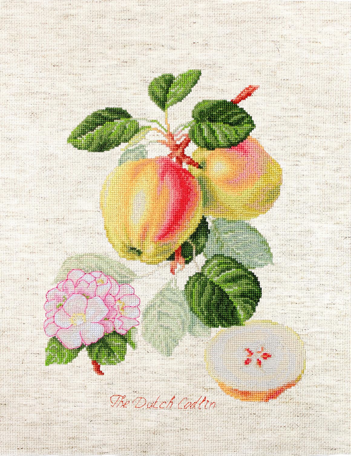 Cross Stitch Kit Luca-S - The Dutch Codlin, BA22440, Needlecraft Set