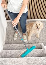 Beldray Antibac Pet Plus Rubber Head Broom with Telescopic Handle 1.2m view 4