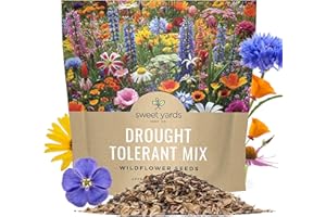 SWEET YARDS Drought Tolerant Wildflowers Mix – Extra Large Packet – Over 7,500 Open Pollinated Non-GMO Seeds – 21 Different Dryland Species