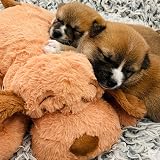 Snuggle Puppy Original Heartbeat Dog Toy Calming Anxiety Relief view 7