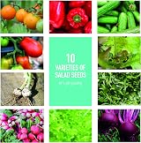 Scott&Co Salad Seed Starter Kit 10 Veg Varieties Indoor Outdoor Gardening view 4