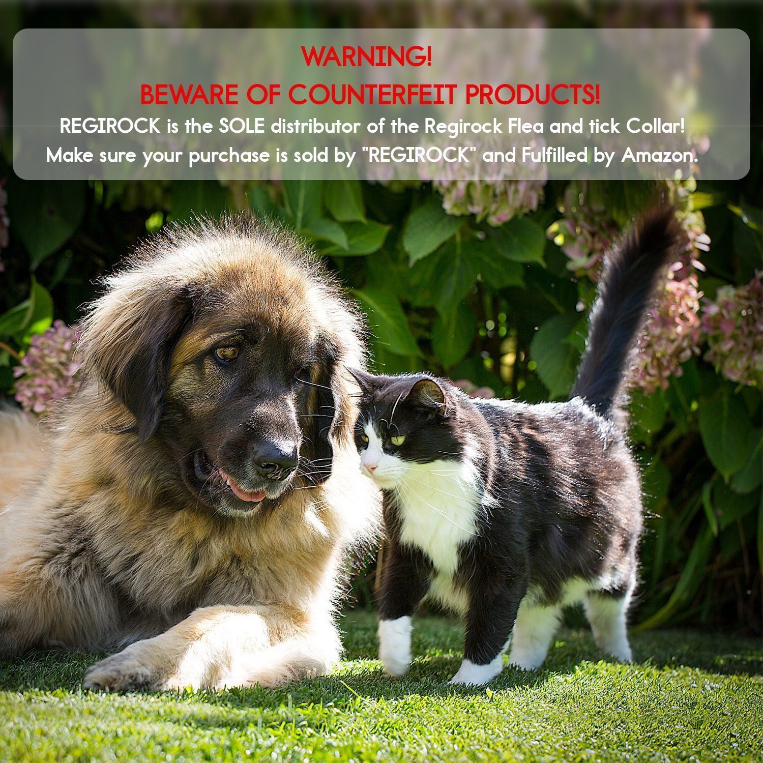 regirock flea and tick collar for cats