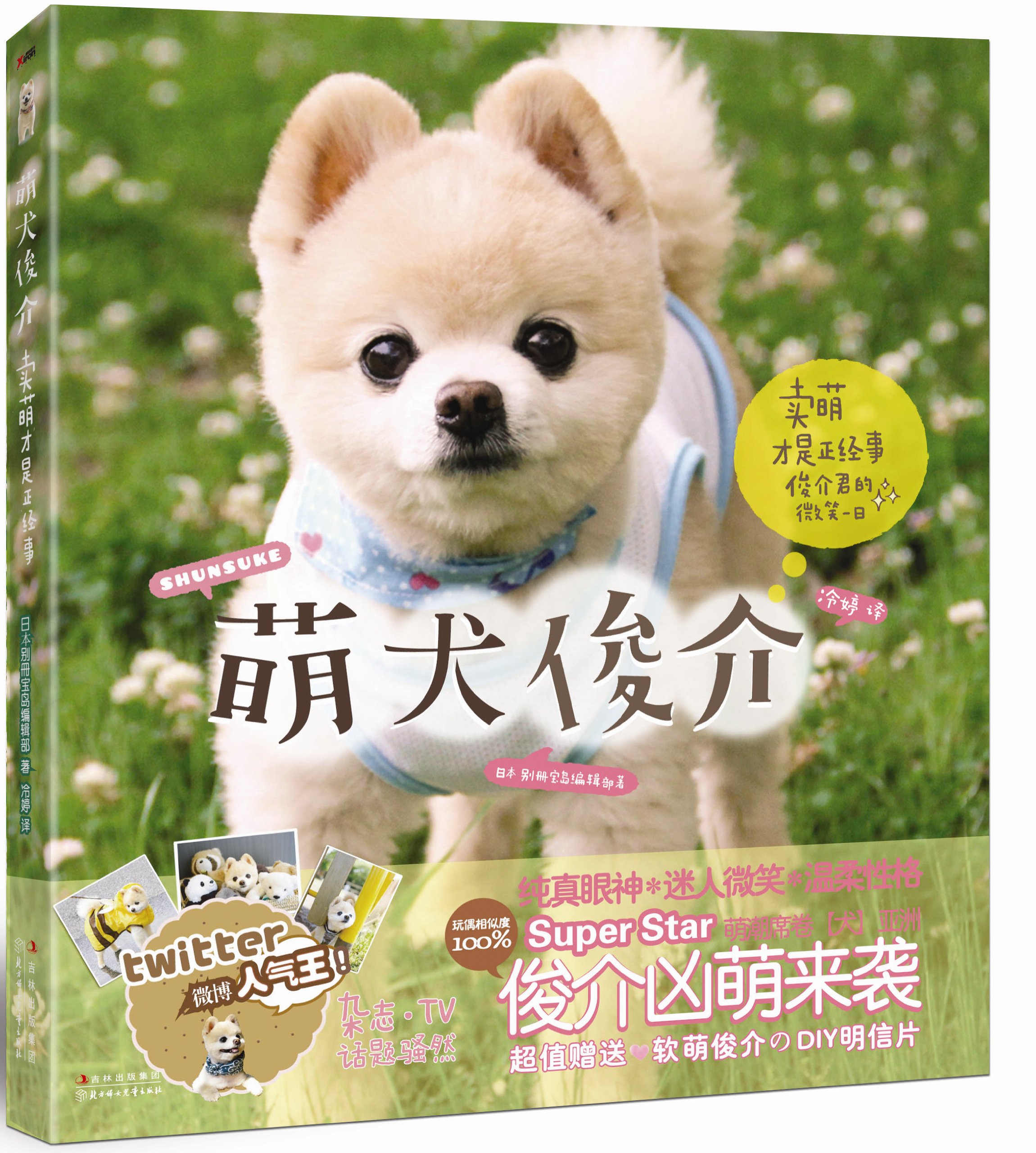 Shunsuke Meng Dog Chinese Edition 日 日本别册宝岛编辑部冷婷 Amazon Com Books Shunsuke Meng Dog Chinese Edition 日 日本别册宝岛编辑部冷婷 Amazon Com Books