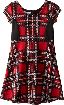 red tartan skater dress