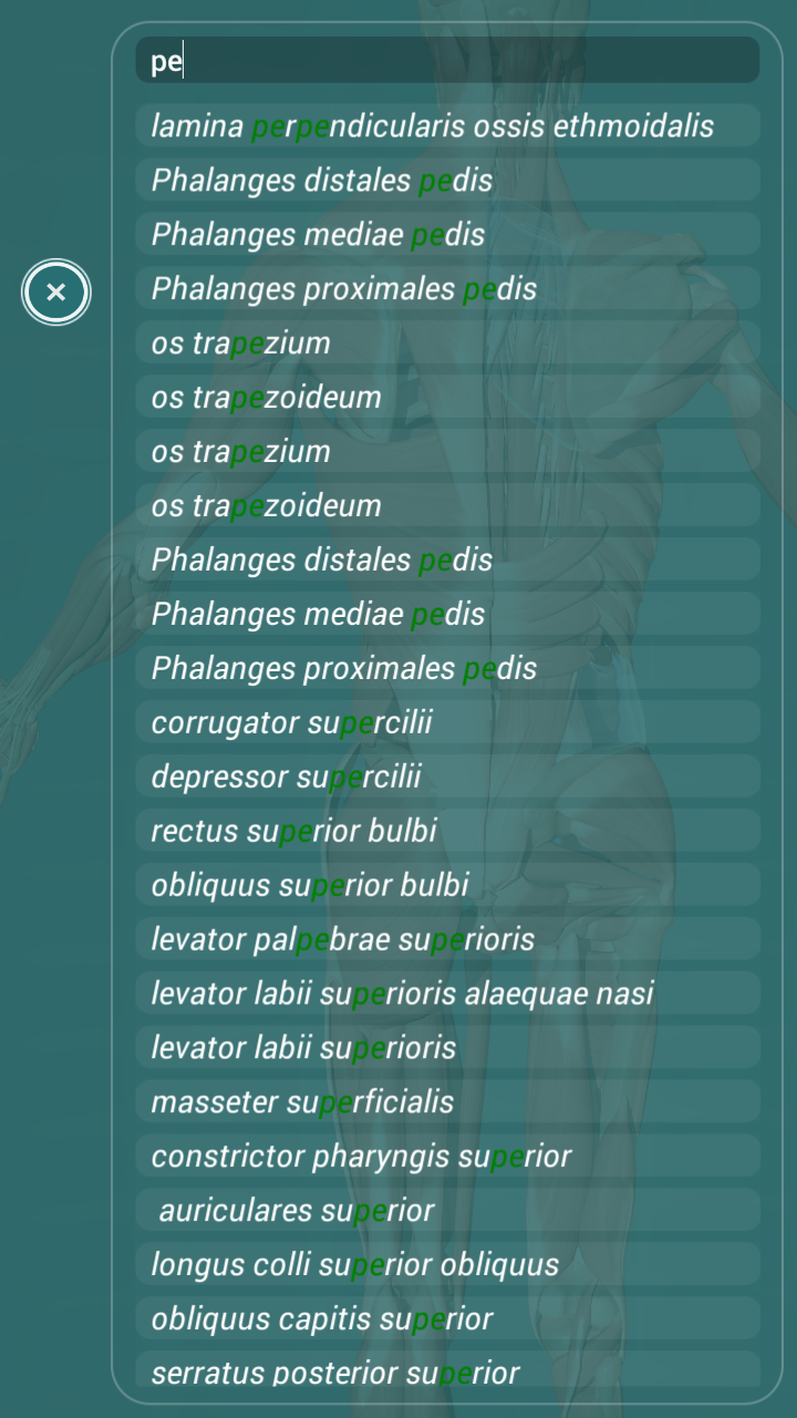 Visual Anatomy - Human body