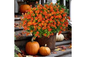 AXYLEX Artificial Fall Flowers Outdoor Fake Mums - 12 Bundles Fake Plants UV Resistant No Fade Faux Plastic Greenery Garden Porch Patio Fall Home Decor (Red Orange)