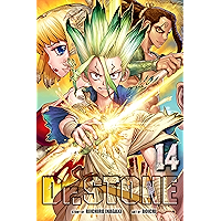 Dr. STONE, Vol. 14: Medusa's True Face book cover Dr. STONE, Vol. 14: Medusa's True Face book cover
